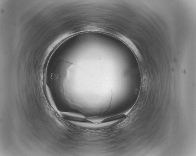 X0000086961051200704161514