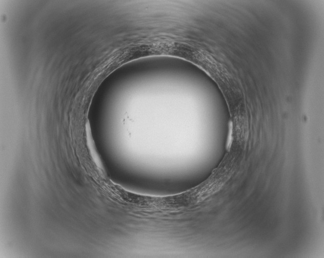 X0000086961057200704161513