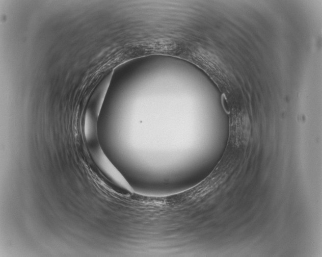 X0000086961058200704161513