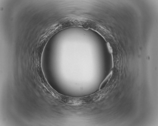 X0000086961061200704161513