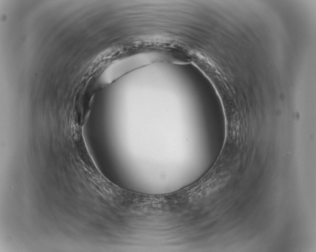 X0000086961062200704161513