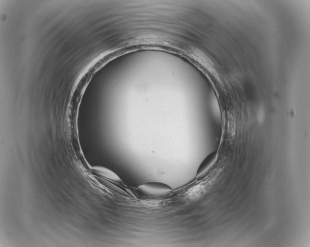 X0000086961068200704161513