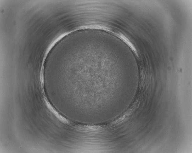 X0000086961084200704161513