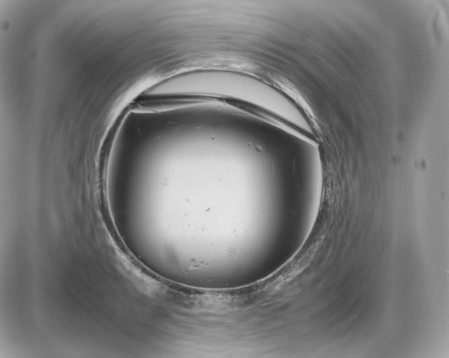 X0000086961087200704161512