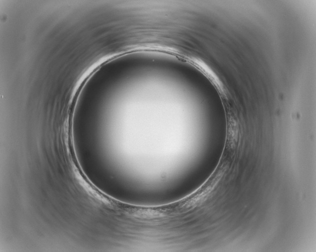 X0000086961100200704161512
