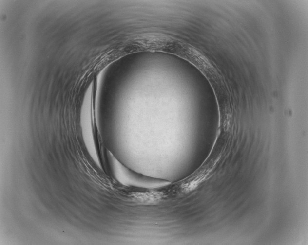 X0000086961108200704161511