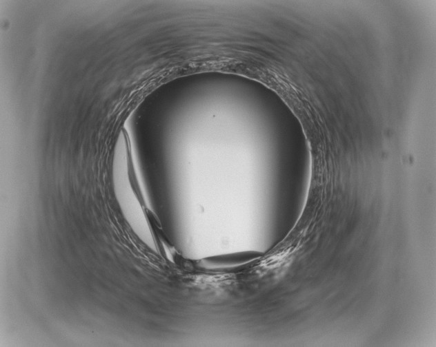 X0000086961109200704161511