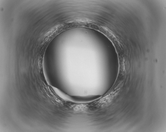 X0000086961110200704161511