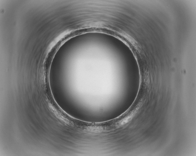 X0000086961118200704161512