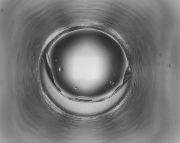 X0000086961122200704161512