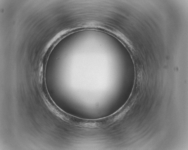 X0000086961126200704161512