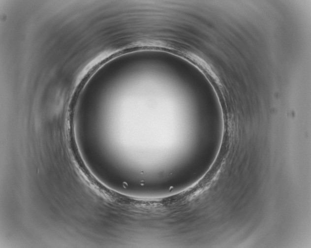 X0000086961133200704161512