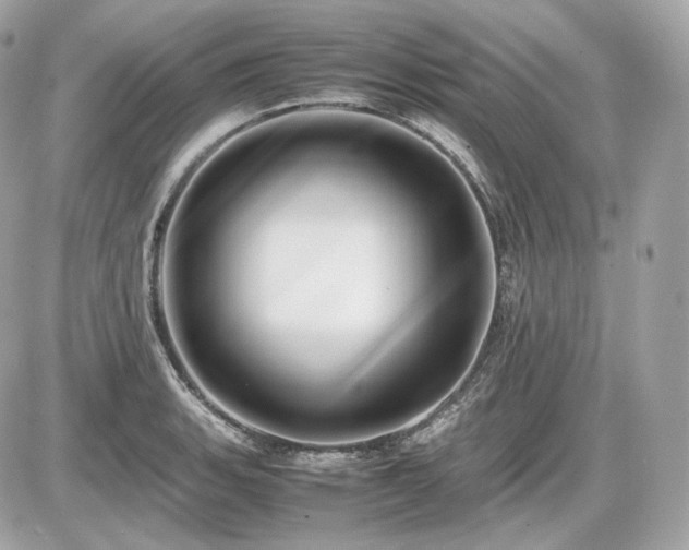 X0000086961135200704161512