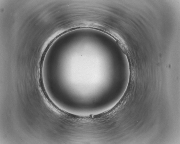 X0000086961136200704161512