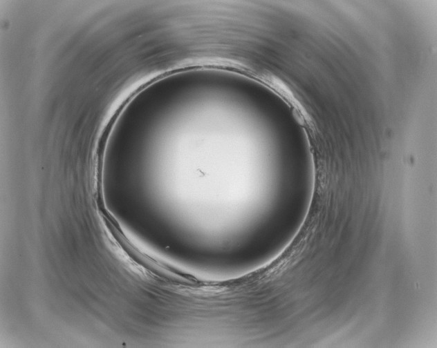 X0000086961140200704161512