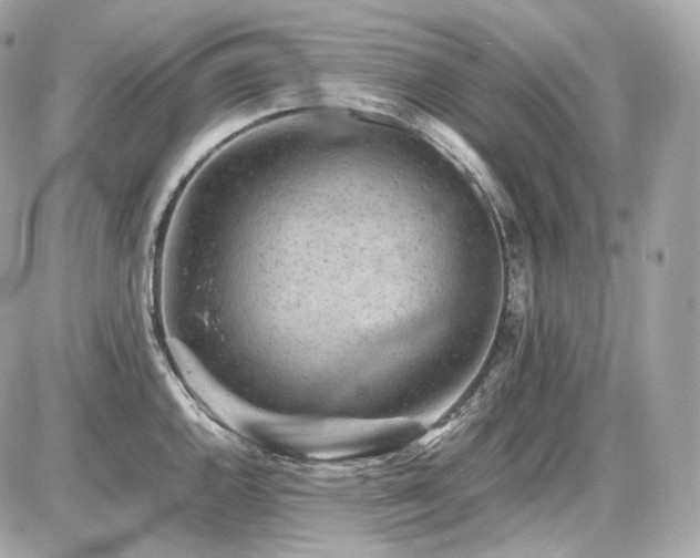 X0000086961144200704161512