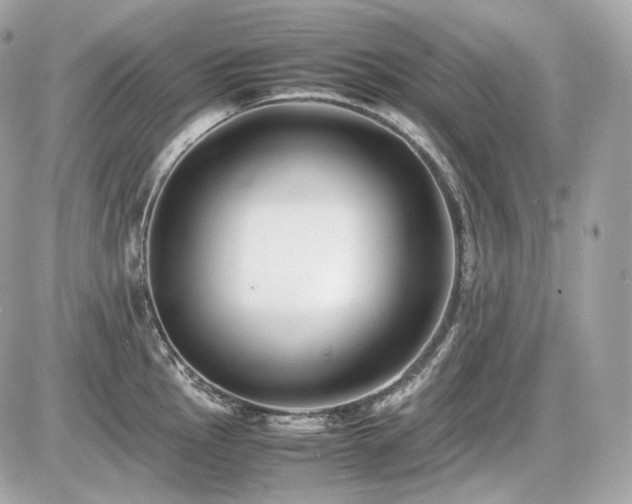 X0000086961145200704161512