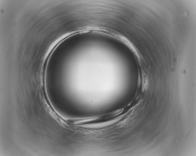 X0000086961148200704161512