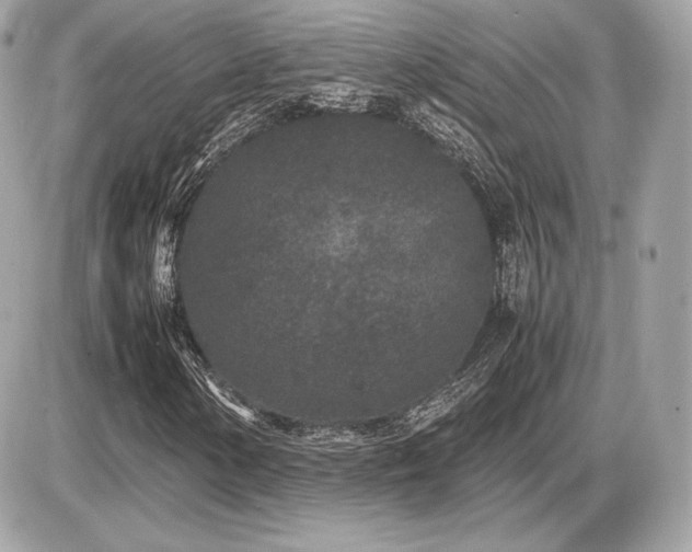 X0000086961154200704161511