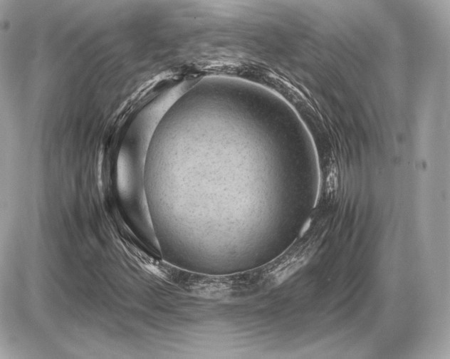 X0000086961156200704161511