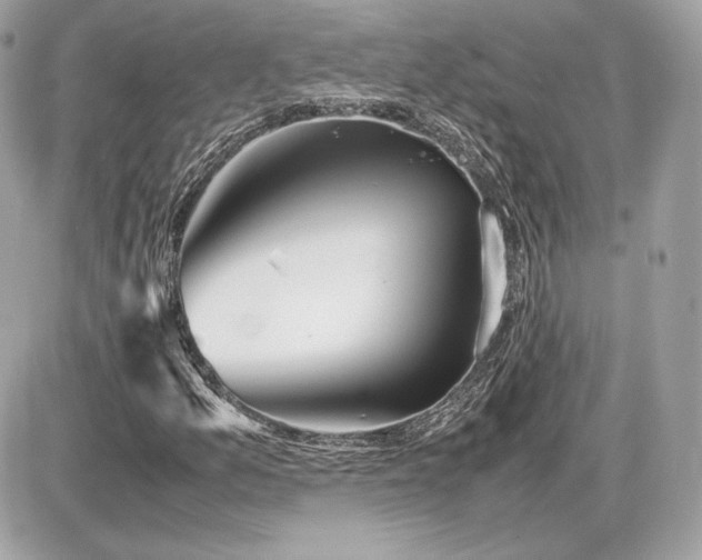 X0000086961157200704161511
