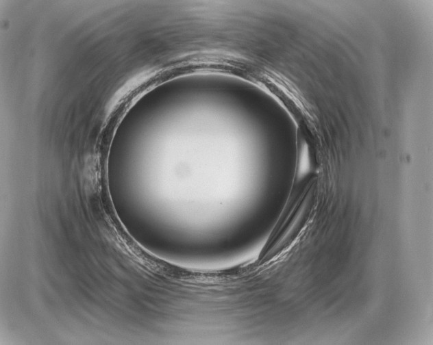 X0000086961164200704161511