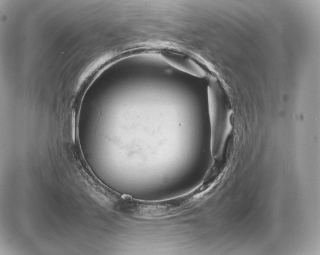 X0000086961171200704161511