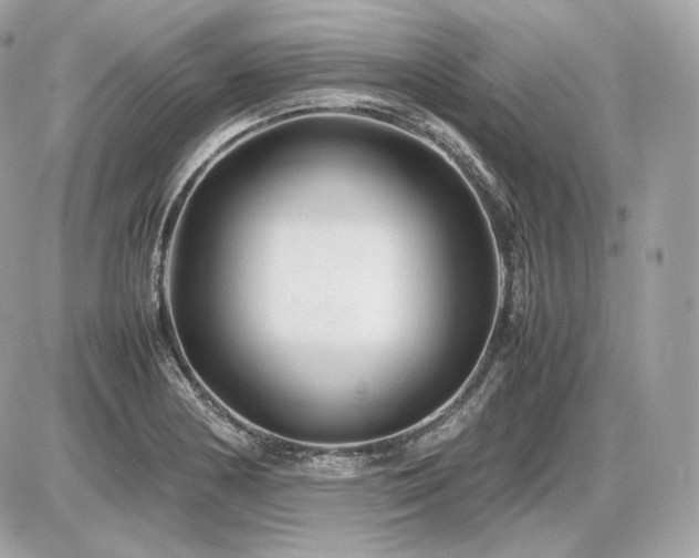 X0000086961178200704161511