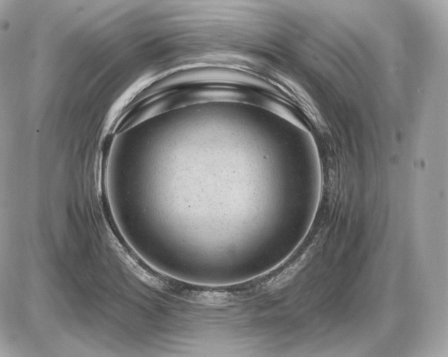 X0000086961180200704161511