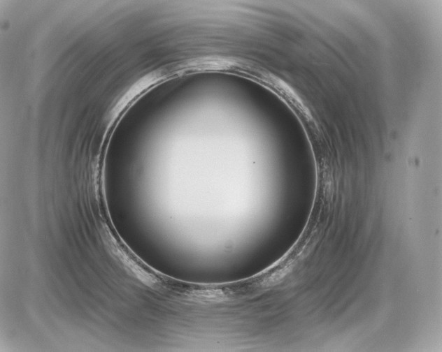 X0000086961186200704161511