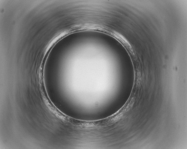X0000086961190200704161511