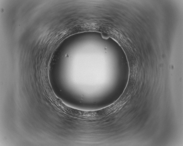 X0000086961201200704161510