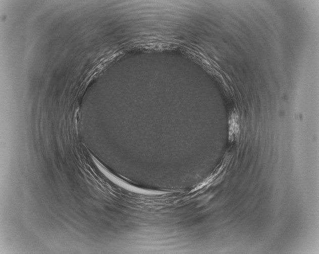X0000086961202200704161510