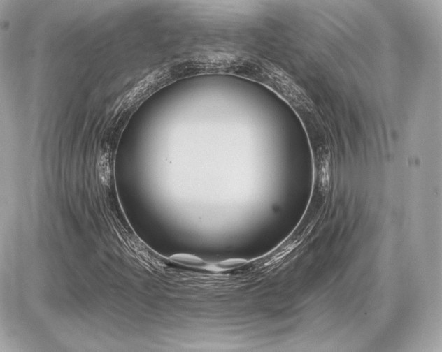 X0000086961204200704161510