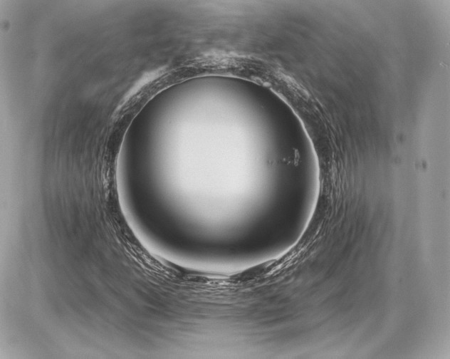 X0000086961206200704161510