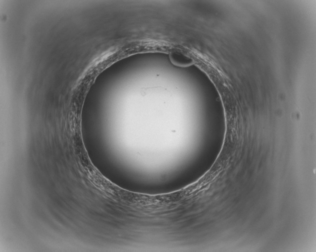 X0000086961207200704161510