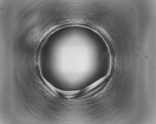 X0000086961212200704161510