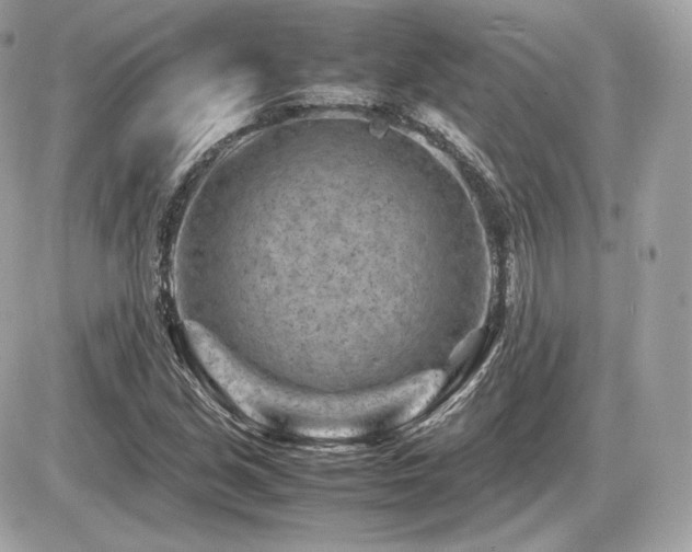 X0000086961213200704161510