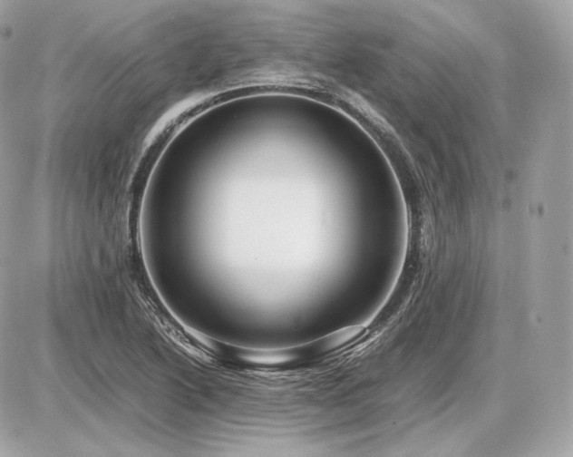 X0000086961222200704161510