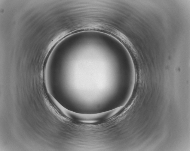 X0000086961234200704161510