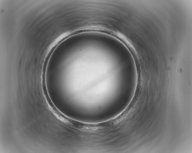 X0000086961237200704161510