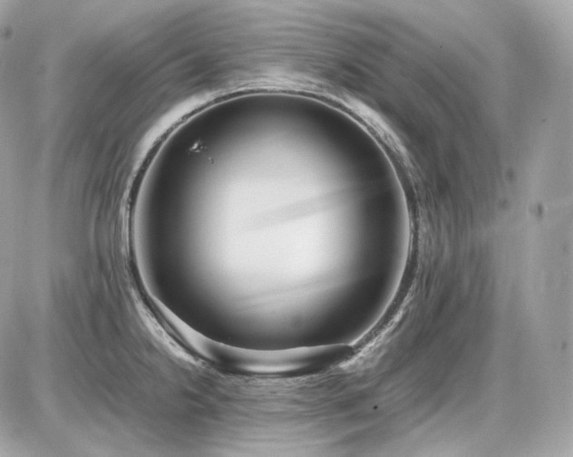 X0000086961238200704161510