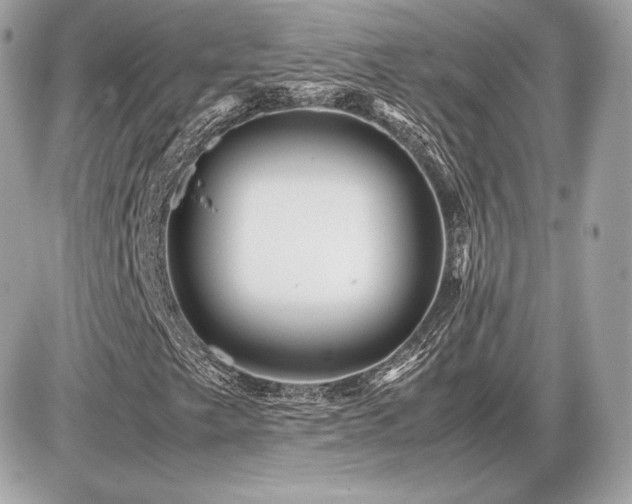 X0000086961249200704161510