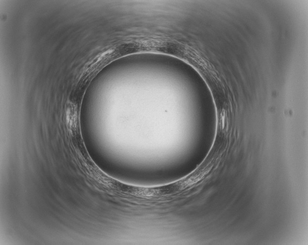X0000086961251200704161510