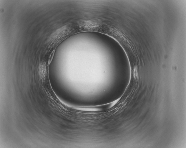 X0000086961299200704161508