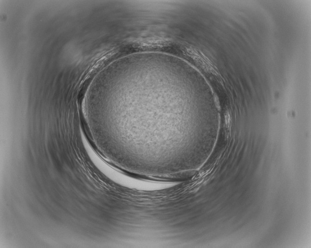 X0000086961300200704161508