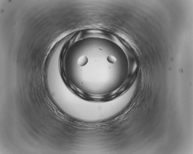 X0000086961308200704161508