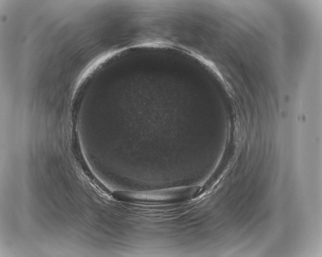 X0000086961319200704161509