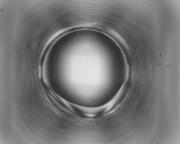 X0000086961324200704161509