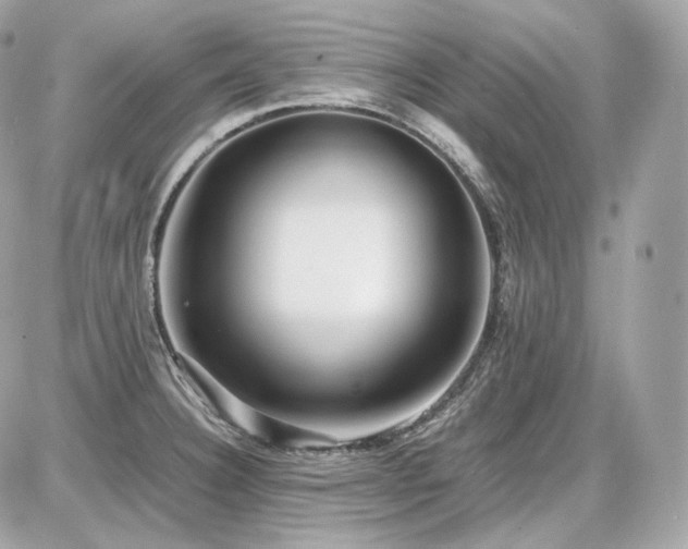 X0000086961332200704161509